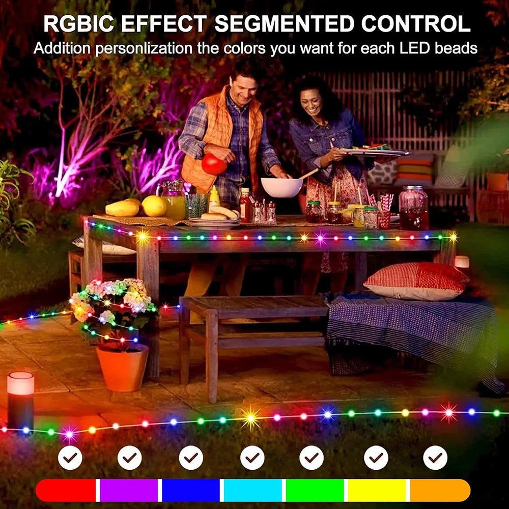 RGBIC Smart Fairy Lights